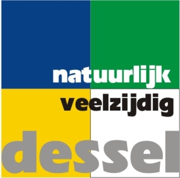 Logo Dessel 04