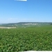 2009_08_24 006ABCD-pano omgeving Champillon - uitzicht wijngaarde