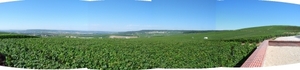 2009_08_24 006ABCD-pano omgeving Champillon - uitzicht wijngaarde