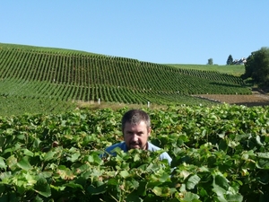 2009_08_24 030 omgeving Champillon - wijngaarden - uitzicht wijng