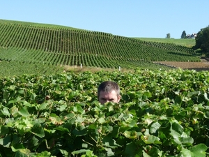 2009_08_24 032 omgeving Champillon - wijngaarden - uitzicht wijng
