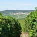 2009_08_24 038 omgeving Champillon - wijngaarden - uitzicht wijng