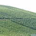 2009_08_24 039 omgeving Champillon - wijngaarden - uitzicht wijng
