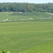 2009_08_24 041 omgeving Champillon - wijngaarden - uitzicht wijng