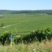 2009_08_24 042 omgeving Champillon - wijngaarden - uitzicht wijng
