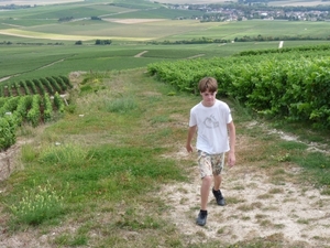 2009_08_24 123 Mutigny - wandeling door champagnevelden - uitzich
