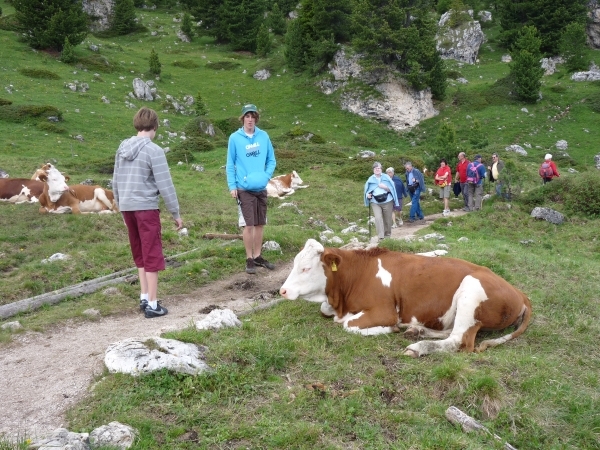 2009_07_09 012 Sellajoch (Passo Sella) - Benno, Otto bij koeien