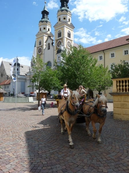2009_07_11 015 Brixen (Bressanone) - kathedraal, paarden