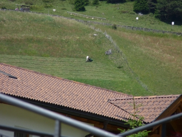 2009_07_13 052 Wolkenstein (Selva) - man doet gras af bij een van