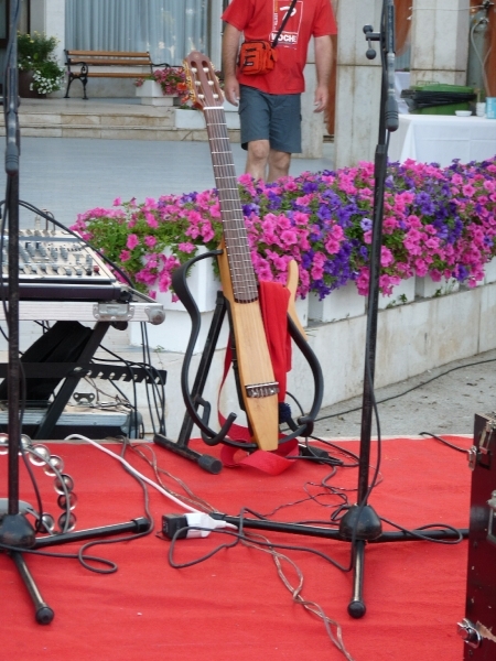 2009_07_23 098 Novigrad - vissersfeest - speciale gitaar