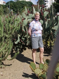 tussen de cactussen