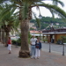 Toscane  en Elba 2009 168