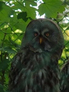 ZooParc Beauval in St-Aignan
