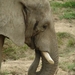 ZooParc Beauval in St-Aignan