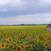 Onderweg naar Chambord