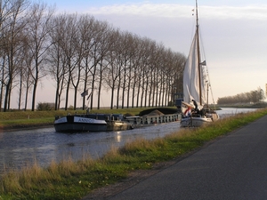 Bietentocht D 005