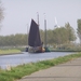 Bietenrace D 046