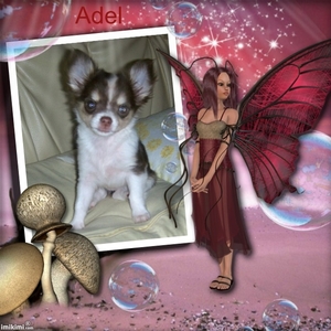 Adel en haar engeltje
