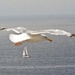 Luchtfoto van zeilbootje