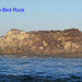 17  miles drive  -  Bird Rock