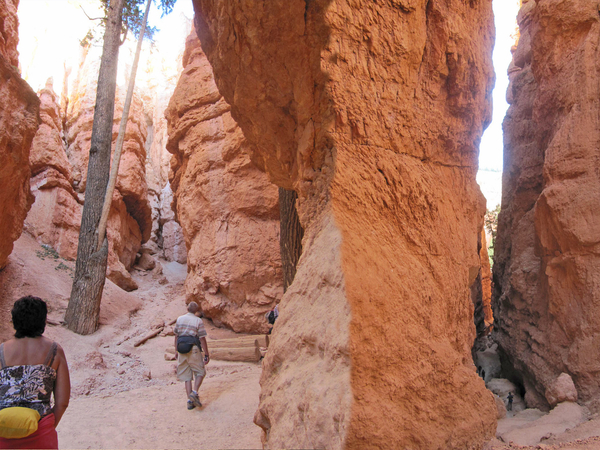 Bryce - Navajo Loop Trail.