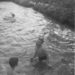 68-VP-kamp Wezemaal aug-zwemmen 2