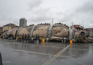 2009-11-06 Oostende D2 (2)