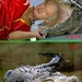 Krokodil G - voor en na