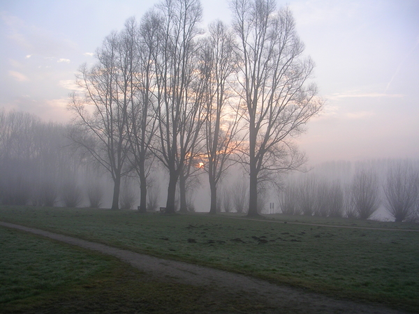 ochtend