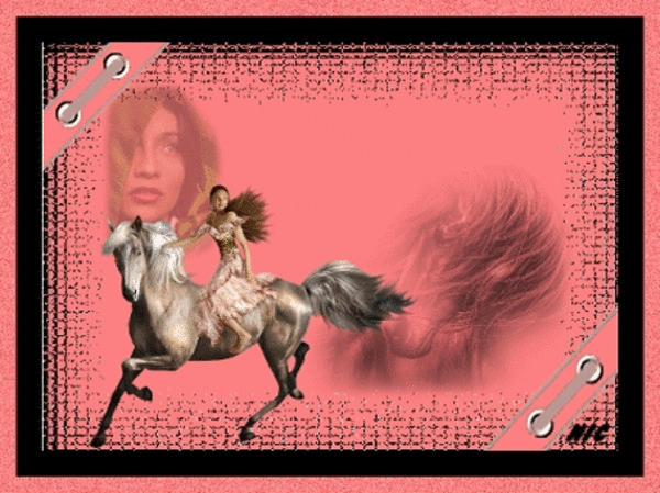 vrouw met paard