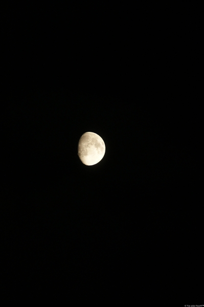 de maan