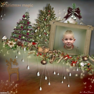 Niels-Kerst