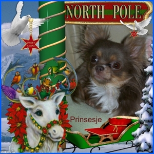 Prinsesje aan de North Pole