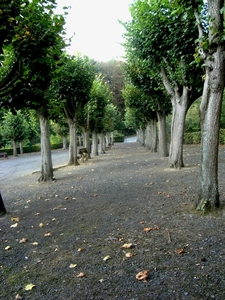 malanderpark