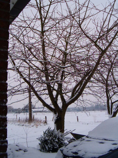 sneeuwlandschap 001