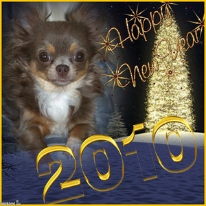 Mijn geliefde prinsesje wenst iedereen een gelukkig nieuwjaar 201