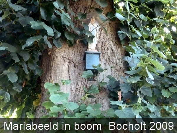 Fietsvakantie in Bocholt