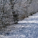 winterbeelden rondom Eeklo