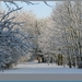 sized_hofstade in de sneeuw 3.1.2010 014