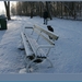 sized_hofstade in de sneeuw 3.1.2010 021