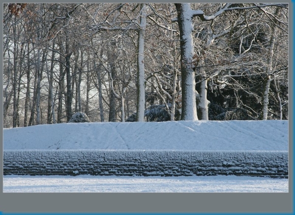 sized_hofstade in de sneeuw 3.1.2010 060