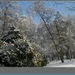 sized_hofstade in de sneeuw 3.1.2010 087