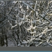 sized_hofstade in de sneeuw 3.1.2010 099