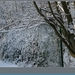 sized_hofstade in de sneeuw 3.1.2010 100