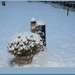 sized_hofstade in de sneeuw 3.1.2010 007