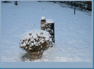 sized_hofstade in de sneeuw 3.1.2010 007