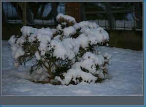 sized_hofstade in de sneeuw 3.1.2010 008