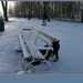 sized_hofstade in de sneeuw 3.1.2010 020