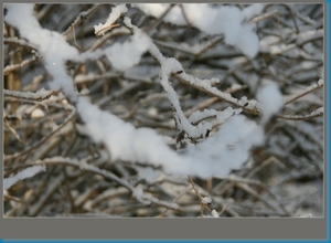 sized_hofstade in de sneeuw 3.1.2010 098