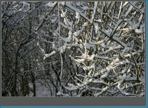 sized_hofstade in de sneeuw 3.1.2010 099